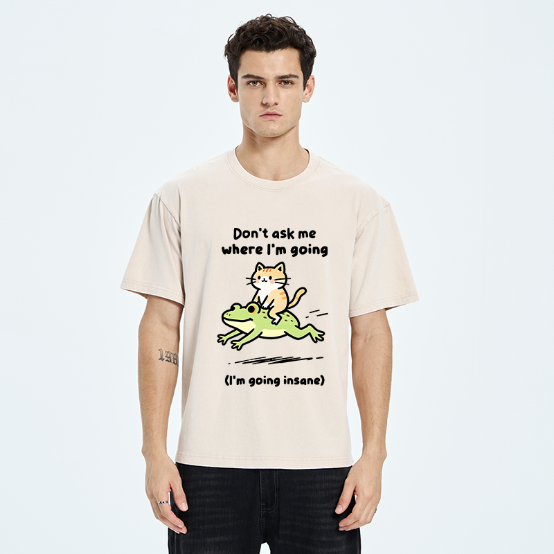 Tokyo‑Tiger Cat Riding Frog Meme Washed T-Shirt