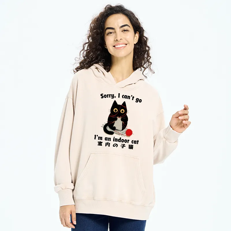 Tokyo-Tiger Indoor Cat Meme Washed Hoodie