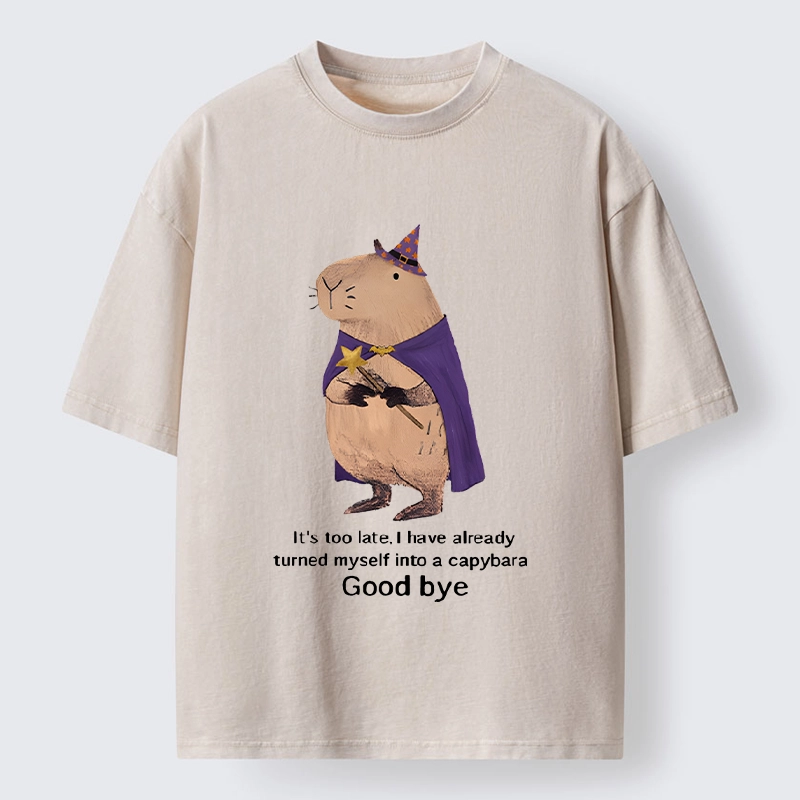 Tokyo‑Tiger Funny Wizard Capybara Washed T‑Shirt