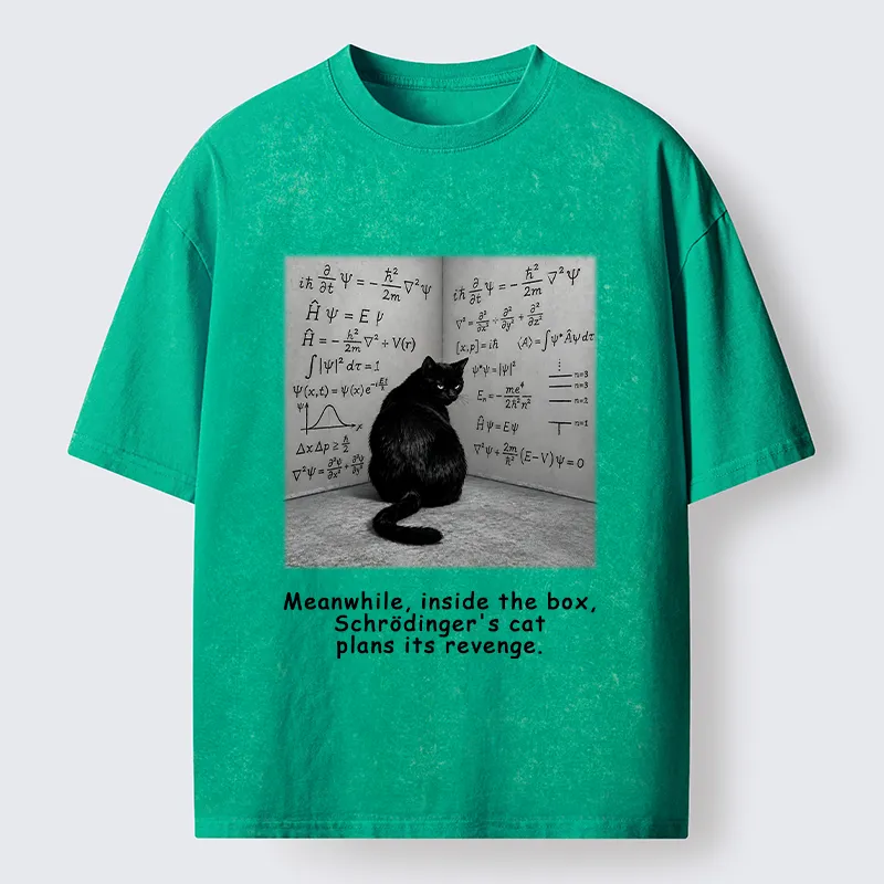 Tokyo-Tiger Box Black Cat Science Meme Washed T-Shirt