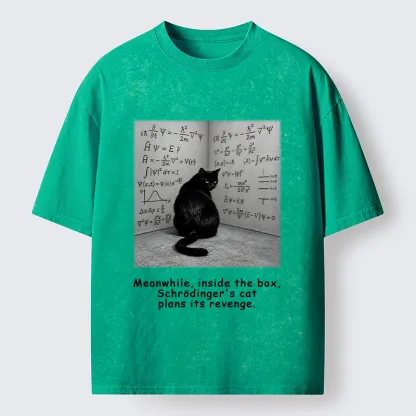 Tokyo-Tiger Box Black Cat Science Meme Washed T-Shirt