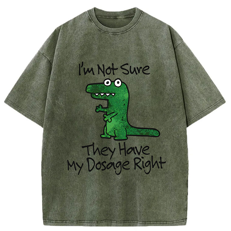 Tokyo-Tiger Dinosaur Meme Sarcastic Ironic Washed T-Shirt