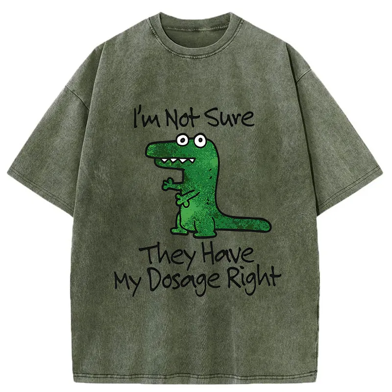 Tokyo-Tiger Dinosaur Meme Sarcastic Ironic Washed T-Shirt