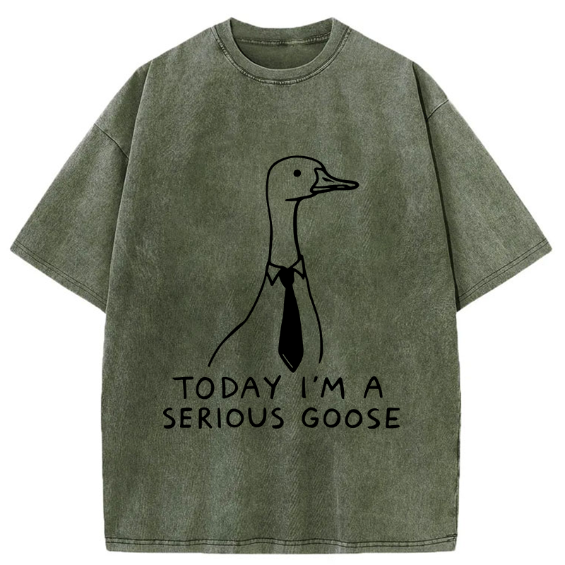 Tokyo-Tiger Serious Goose Funny Washed T-Shirt