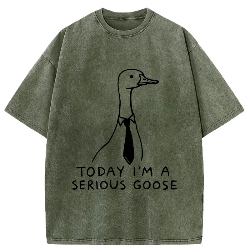Tokyo-Tiger Serious Goose Funny Washed T-Shirt