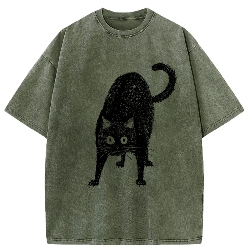 Tokyo-Tiger Alert Cat Washed T-Shirt