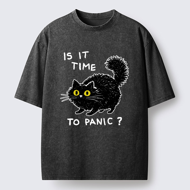 Tokyo-Tiger Is It Time To Panic Washed T-Shirt