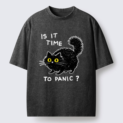 Tokyo-Tiger Is It Time To Panic Washed T-Shirt