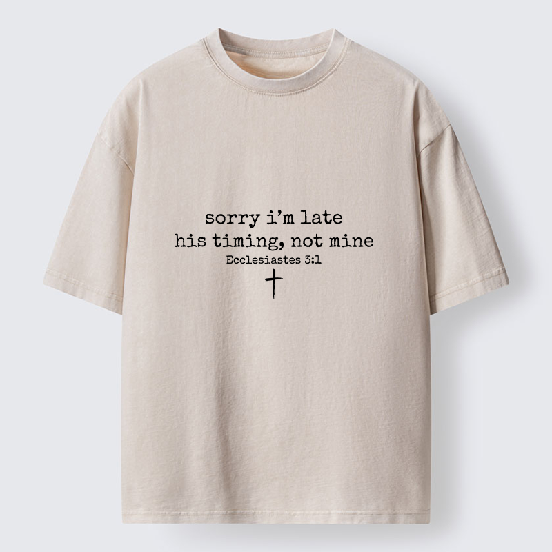 Tokyo-Tiger I Was Late For Some Reason Washed T-Shirt