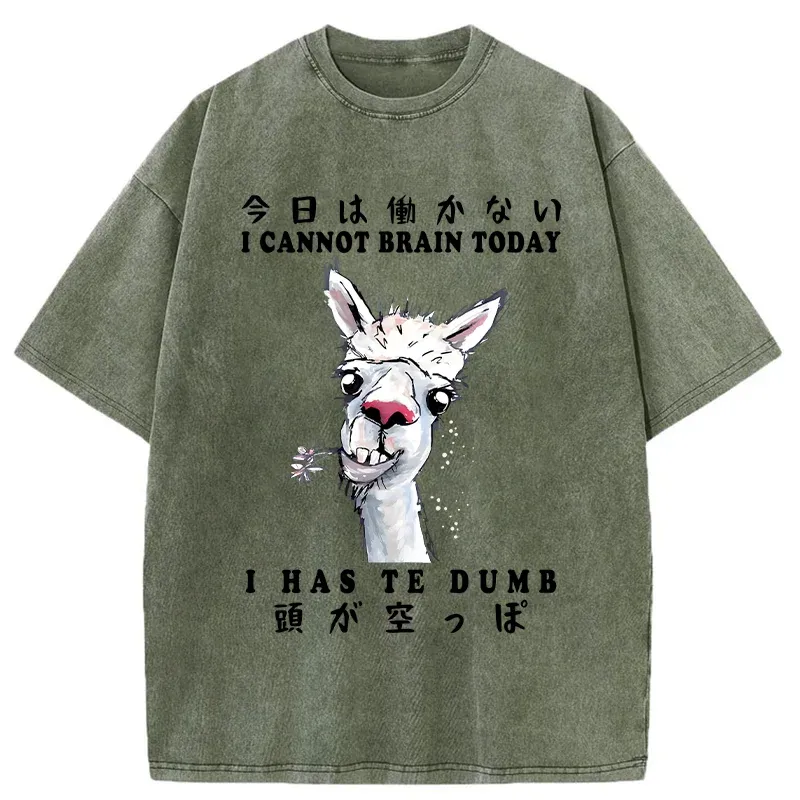 Tokyo-Tiger Empty-headed Alpaca Washed T-Shirt