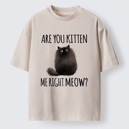 Tokyo-Tiger Kitten Me Right Meow Washed T-Shirt