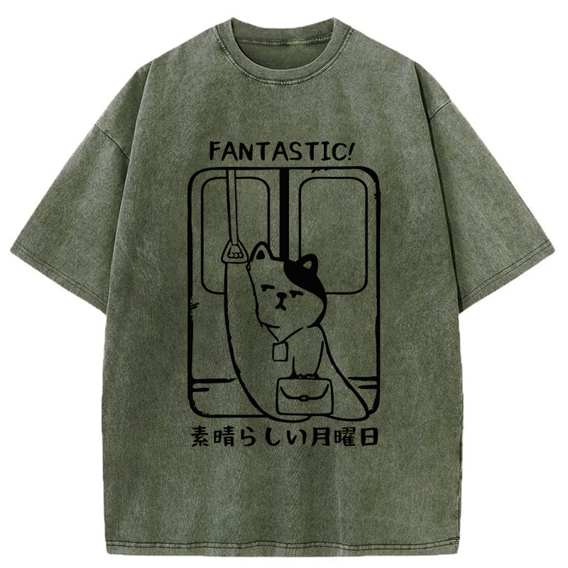 Tokyo-Tiger Great Monday Washed T-Shirt