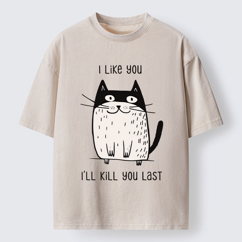 Tokyo-Tiger Cats Both Love And Hate Washed T-Shirt