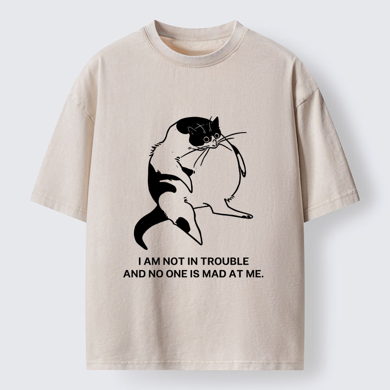 Tokyo-Tiger Introverted Kitten Japan Washed T-Shirt