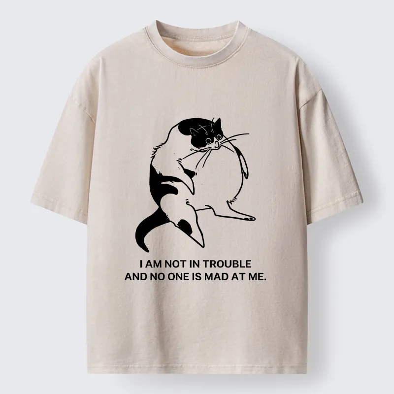 Tokyo-Tiger Introverted Kitten Japan Washed T-Shirt