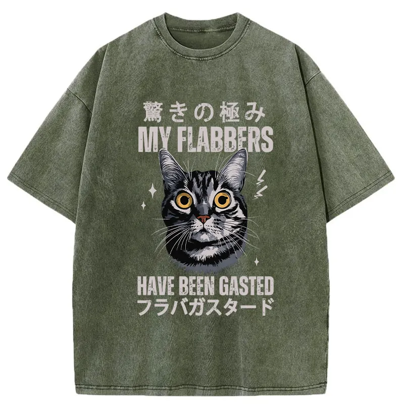Tokyo-Tiger My Flabbers Have Been Gasted Washed T-Shirt