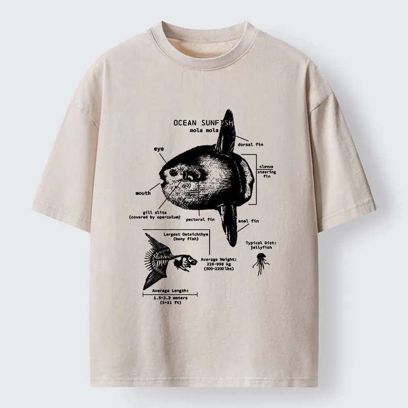Tokyo-Tiger Sunfish Funny Washed T-Shirt