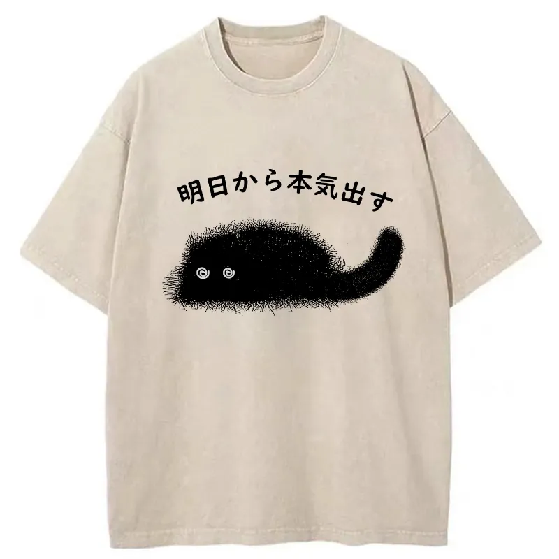 Tokyo-Tiger I'll Get Serious From Tomorrow Washed T-Shirt Sale
