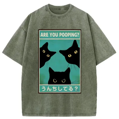 Tokyo-Tiger Cats Watching You Poop Washed T-Shirt