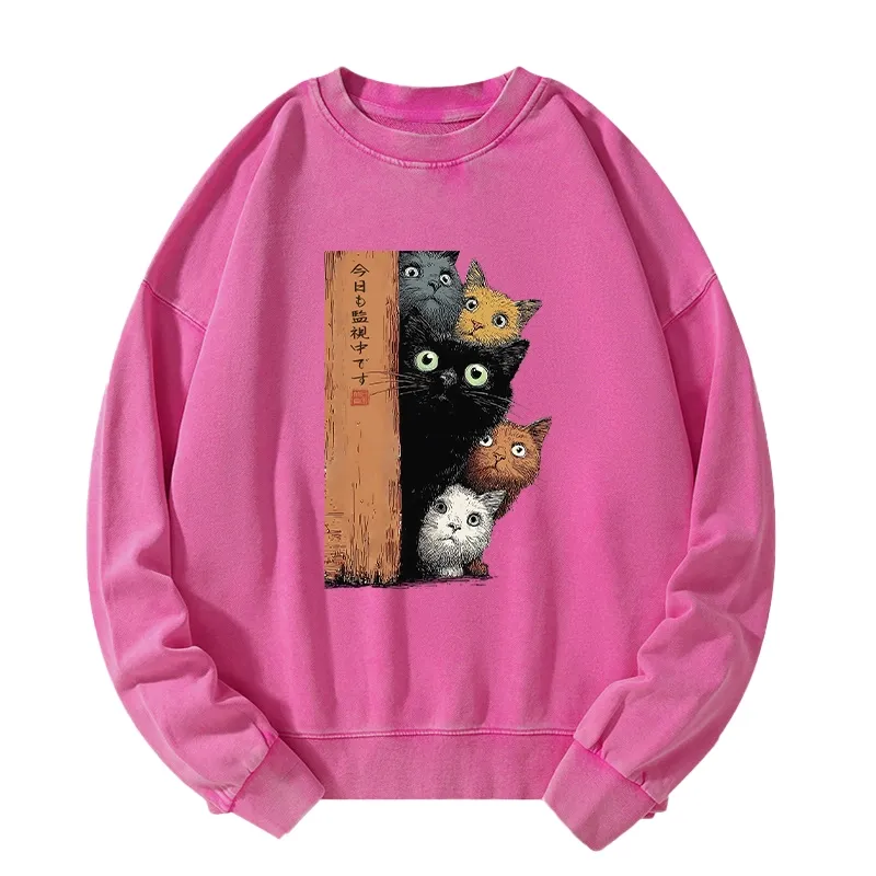 Tokyo-Tiger Five Cats Are Watching You Washed Sweatshirt Sale