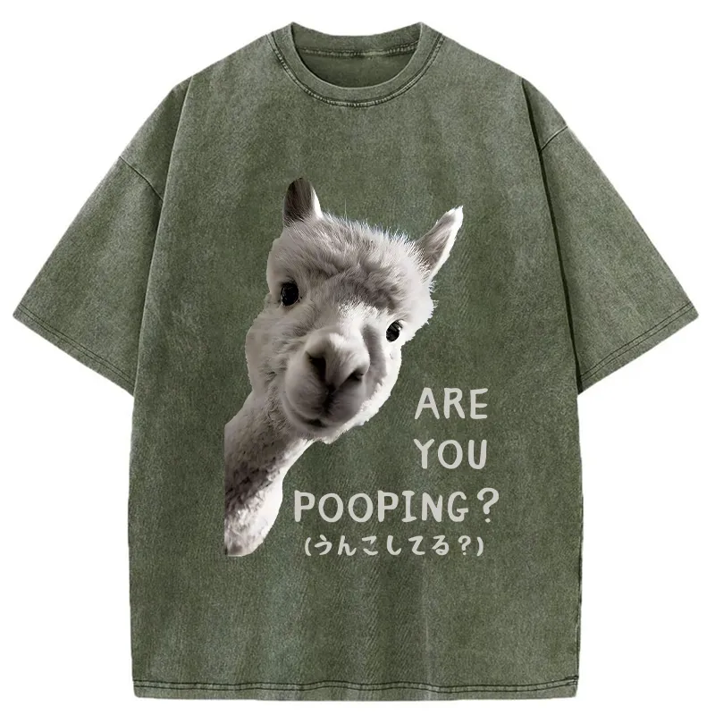 Tokyo-Tiger Are You Pooping Washed T-Shirt
