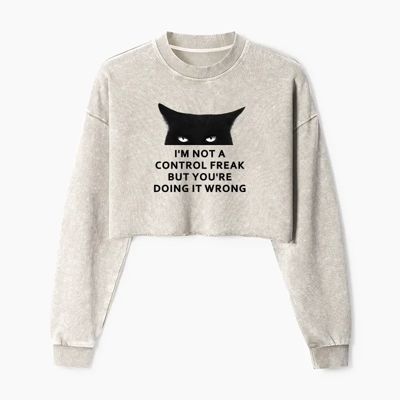Tokyo-Tiger Control Freak Funny Washed Crop Sweatshirt Sale