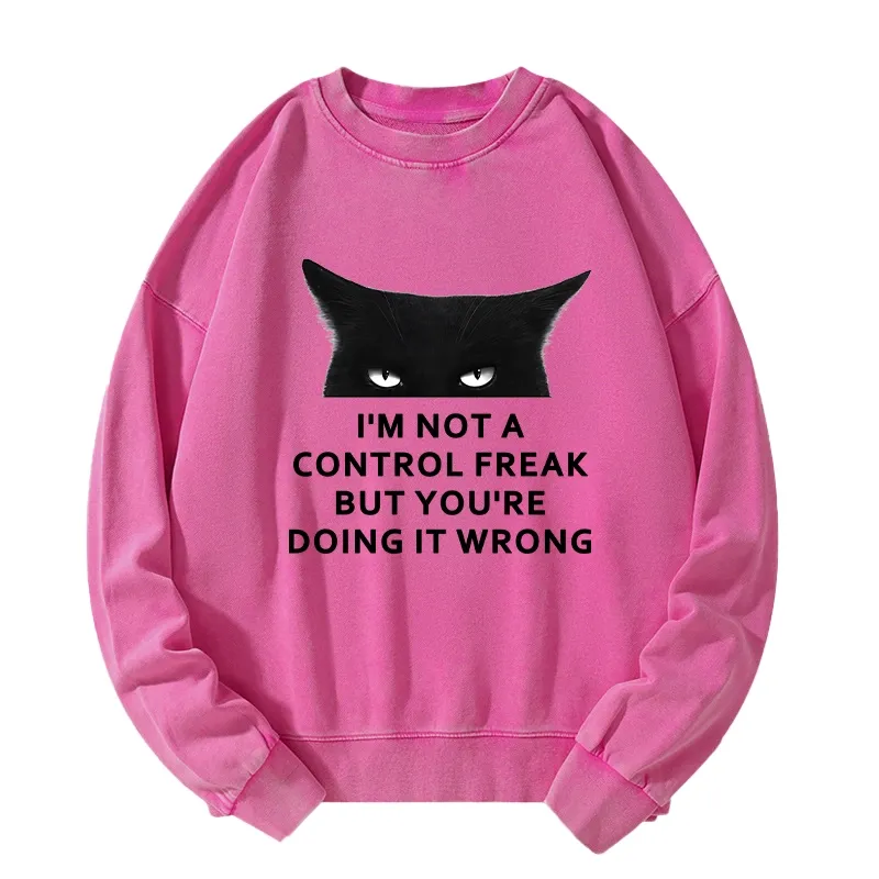 Tokyo-Tiger Control Freak Funny Washed Sweatshirt