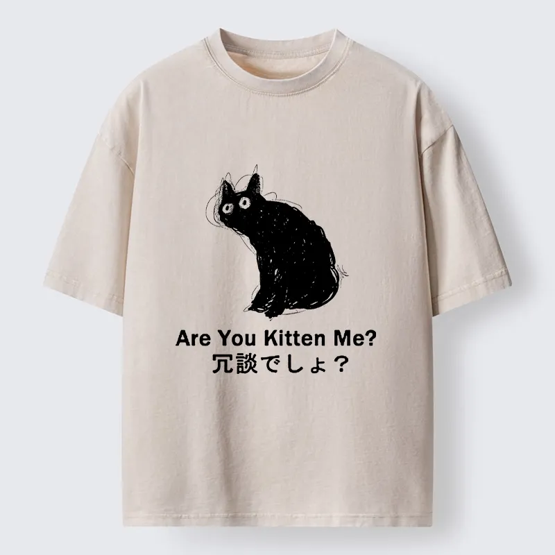 Tokyo-Tiger Are You Kitten Me Pun Art Washed T-Shirt