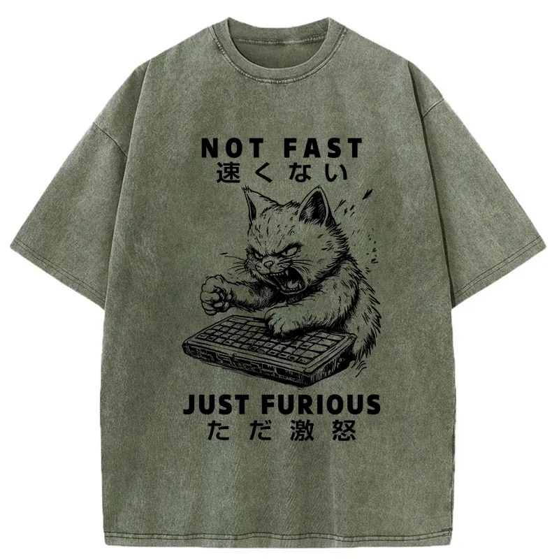 Tokyo-Tiger Not Fast Just Furious Washed T-Shirt