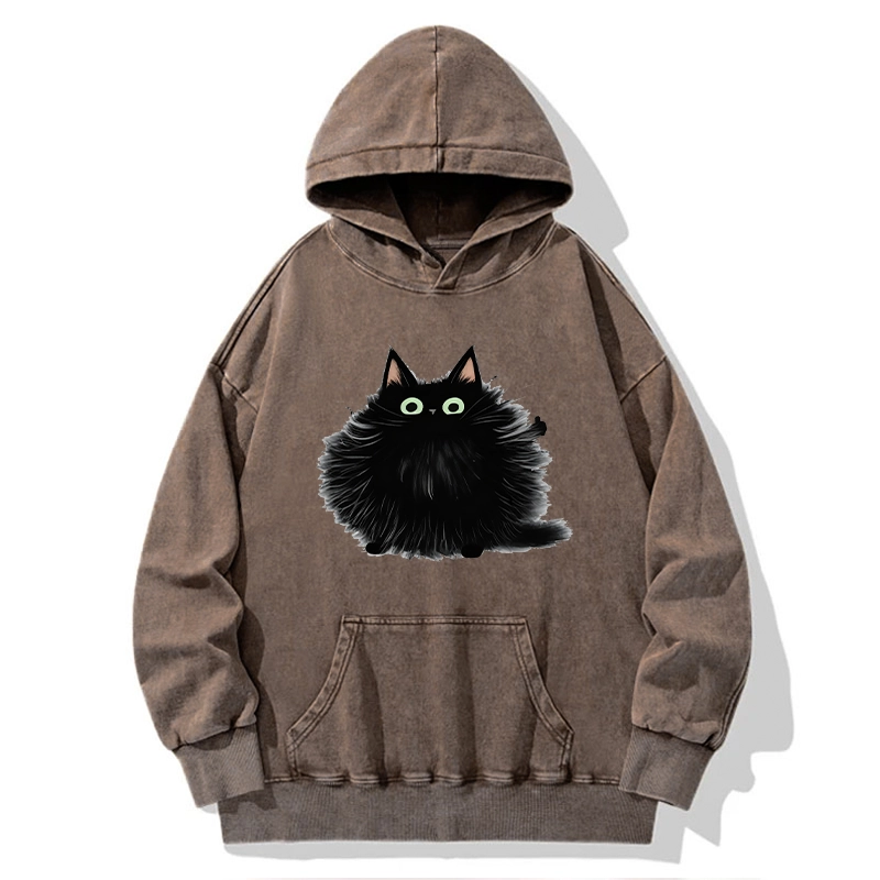 Tokyo-Tiger Cat's Approval Washed Hoodie