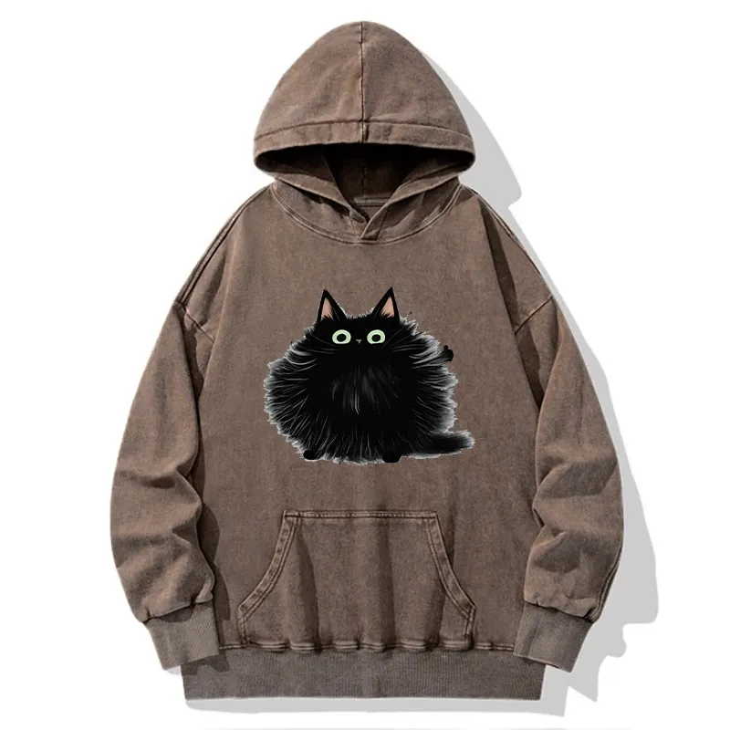 Tokyo-Tiger Cat's Approval Washed Hoodie