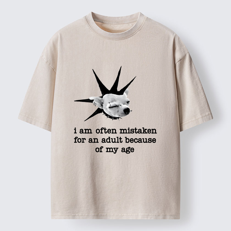 Tokyo-Tiger My Mental Age Is Very Young Washed T-Shirt