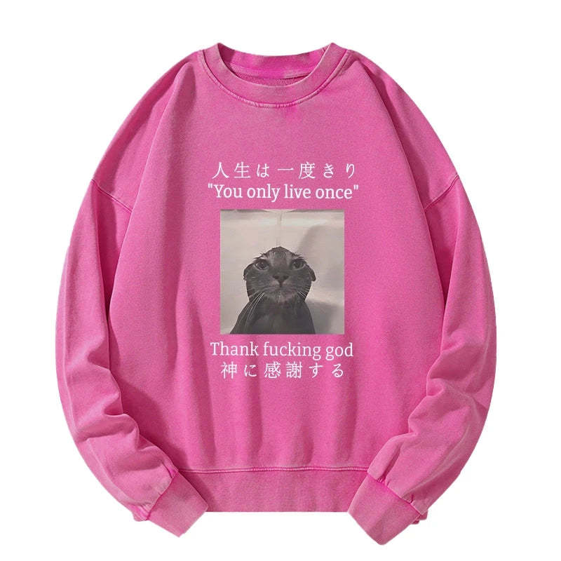 Tokyo-Tiger Funny Melancholy Cat Washed Sweatshirt