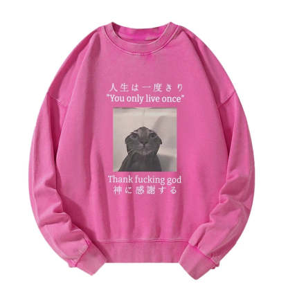 Tokyo-Tiger Funny Melancholy Cat Washed Sweatshirt