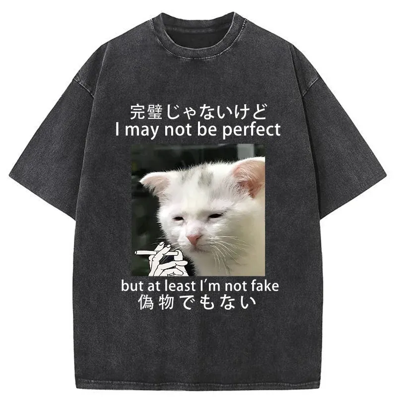 Tokyo-Tiger Cat Lamenting Life Washed T-Shirt