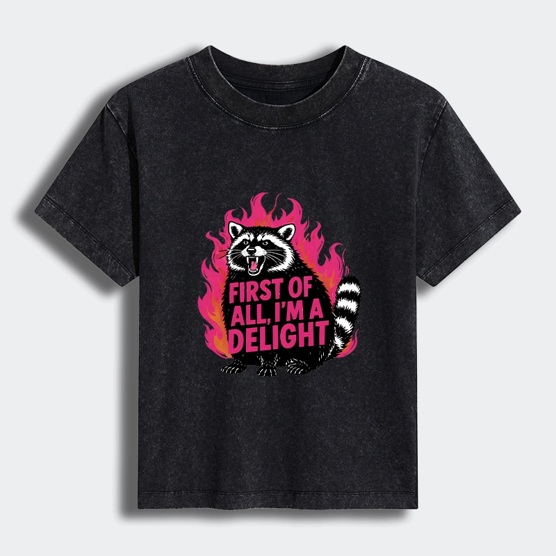 Tokyo-Tiger Angry Raccoon Funny Women's Washed T-shirt