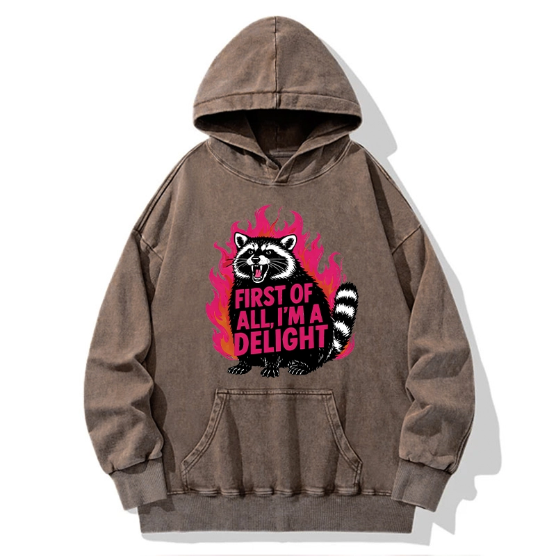 Tokyo-Tiger Angry Raccoon Funny Cat Washed Hoodie