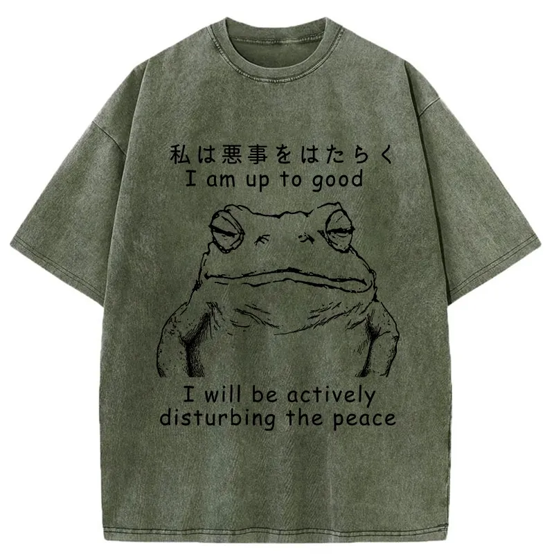 Tokyo-Tiger Frog Disturbs The Peace Washed T-Shirt