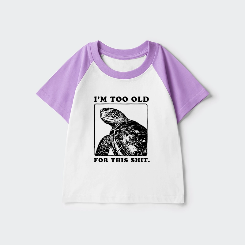 Tokyo-Tiger Turtle I Quit Meme Energy Kids Raglan T-shirt