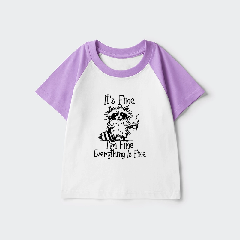 Tokyo-Tiger Raccoon Fine Meme Kids Raglan T-shirt