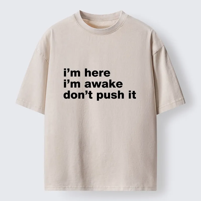 Tokyo-Tiger Awake But Not Ready Vibe Washed T-Shirt