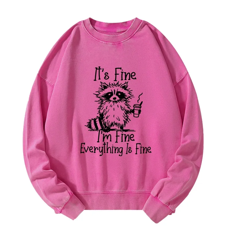 Tokyo-Tiger Raccoon Fine Meme Washed Sweatshirt