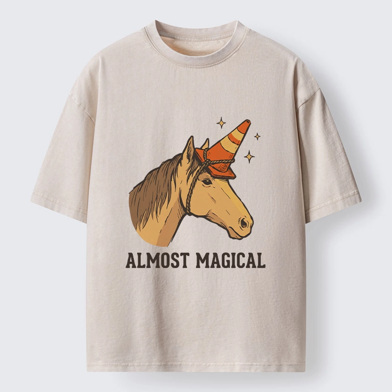 Tokyo-Tiger Silly Horse Trying To Be Magical Washed T-Shirt