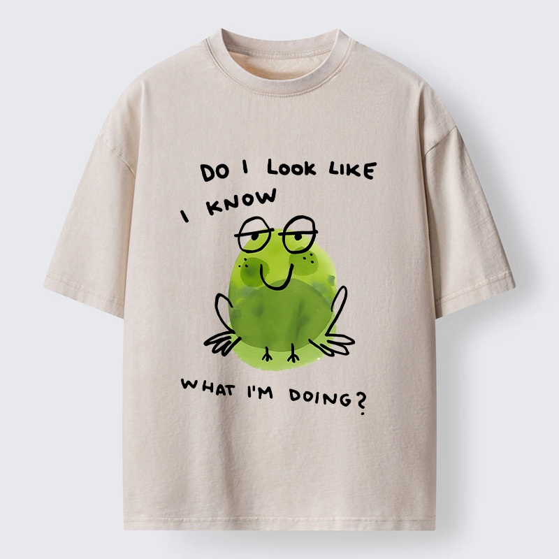 Tokyo-Tiger Little Green Frog Has No Idea What’s Next Washed T-Shirt