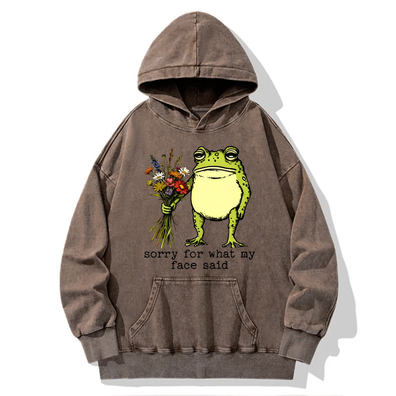 Tokyo-Tiger Frog Sorry Mode Activated Washed Hoodie