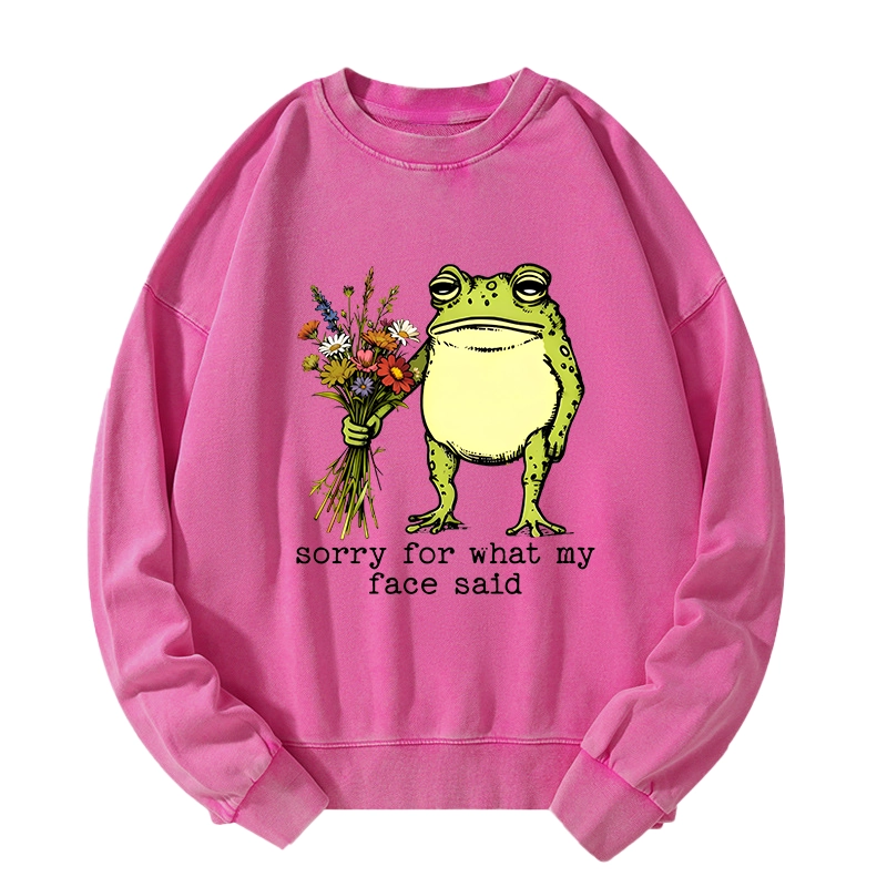 Tokyo-Tiger Frog Sorry Mode Activated Washed Sweatshirt