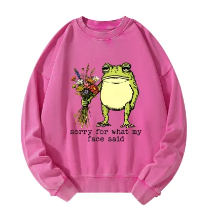 Tokyo-Tiger Frog Sorry Mode Activated Washed Sweatshirt