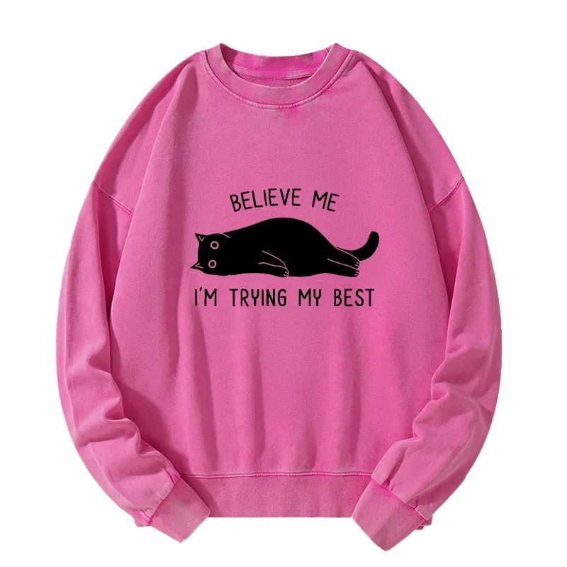 Tokyo-Tiger When Life Is Hard Nap First Washed Sweatshirt