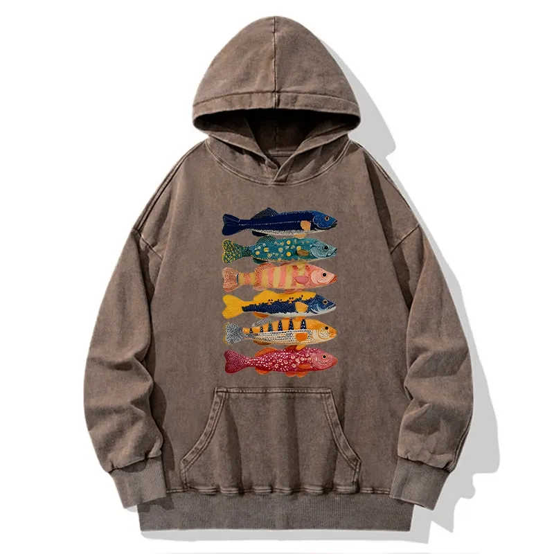 Tokyo-Tiger Colorful Fish Art Collection Washed Hoodie
