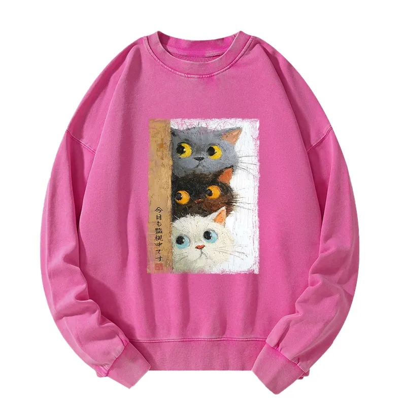 Tokyo-Tiger Three Cute Cats Watch You Washed Sweatshirt